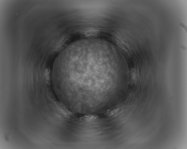 X0000091290667200708241030