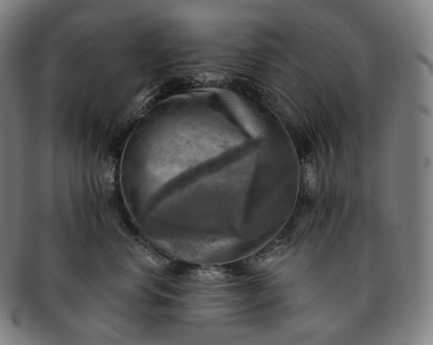 X0000091290668200708241030