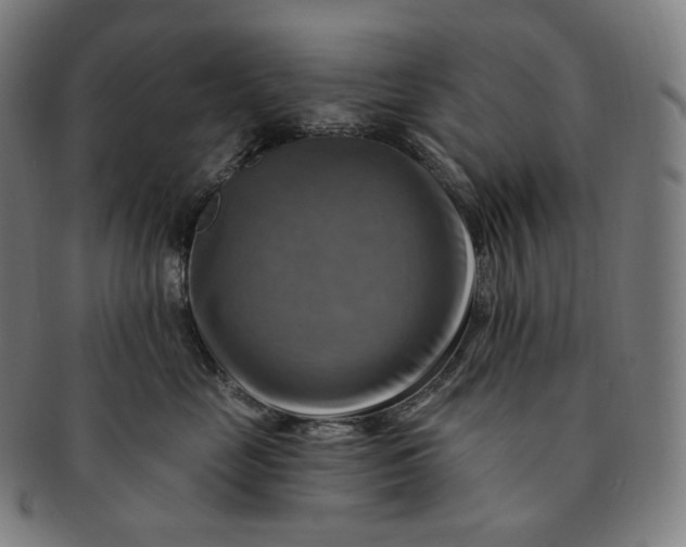 X0000091290669200708241030