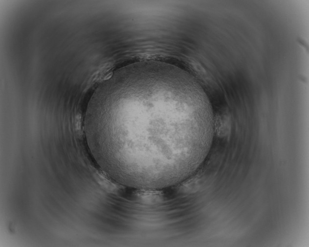 X0000091290670200708241030