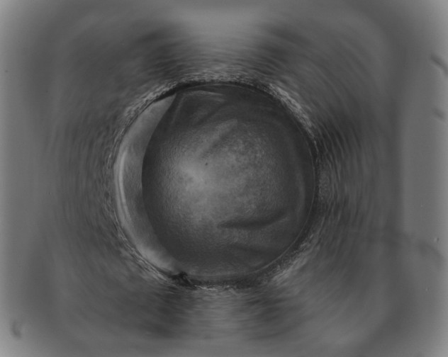 X0000091290673200708241030