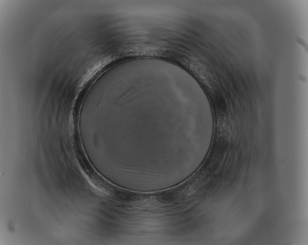 X0000091290674200708241030