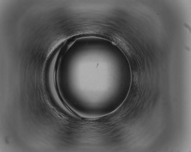 X0000091290676200708241029