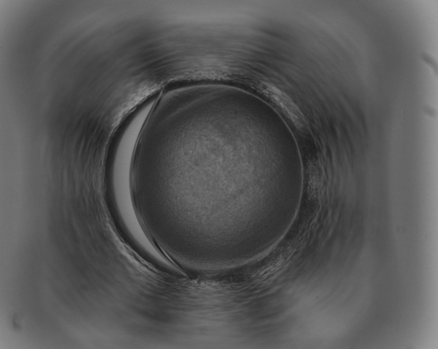 X0000091290677200708241029