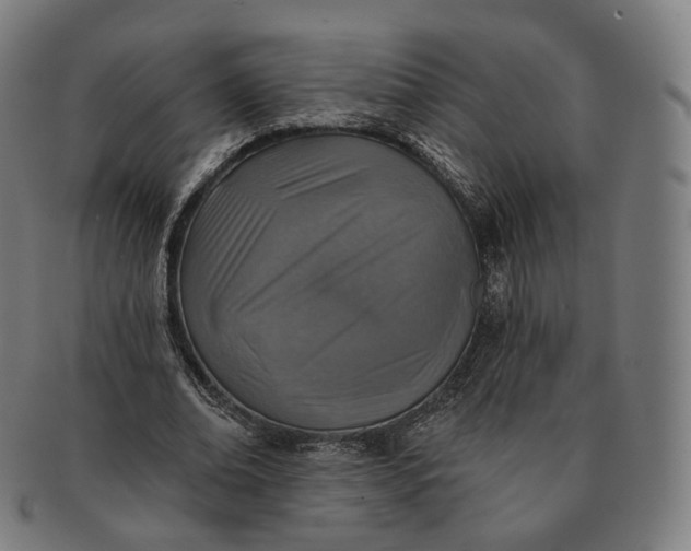 X0000091290678200708241029