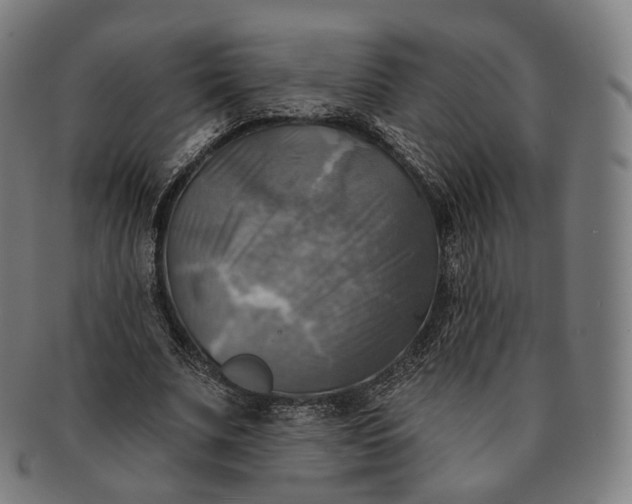 X0000091290679200708241029