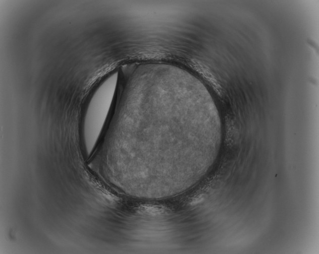 X0000091290681200708241029