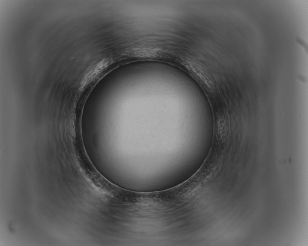 X0000091290682200708241029