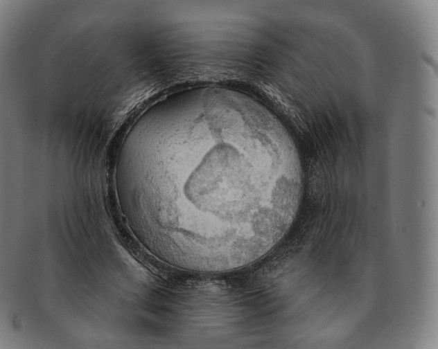 X0000091290683200708241029