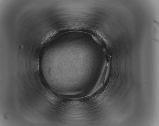 X0000091290685200708241029