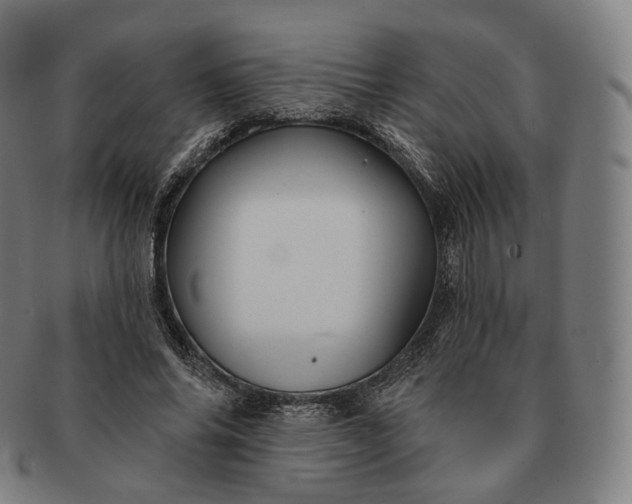 X0000091290686200708241029