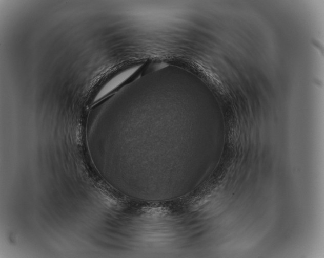 X0000091290689200708241029