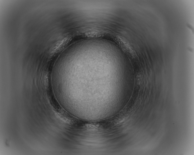 X0000091290690200708241029