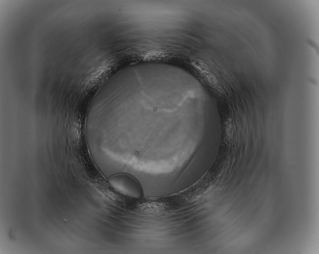 X0000091290691200708241029