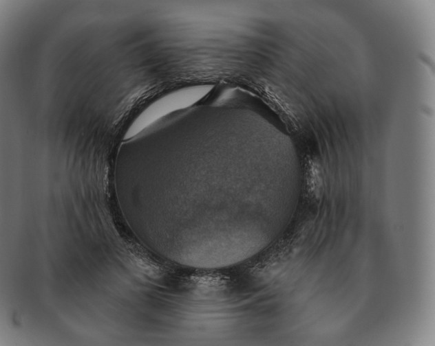 X0000091290693200708241029