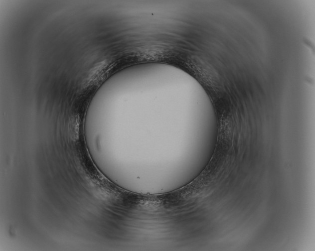 X0000091290694200708241029