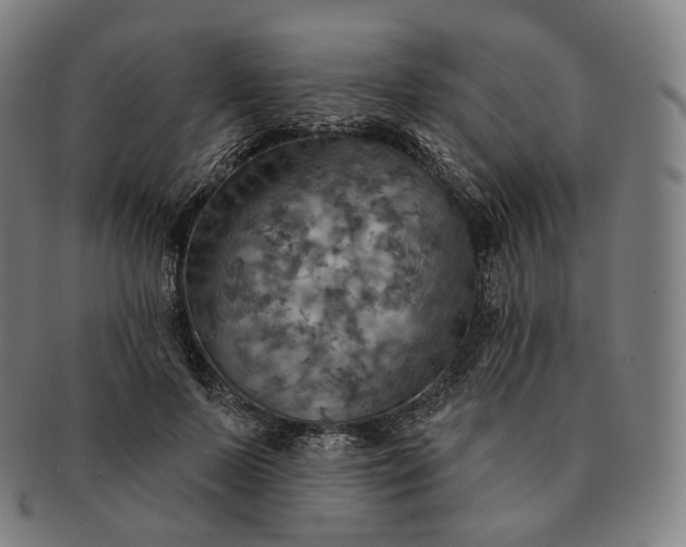 X0000091290695200708241029