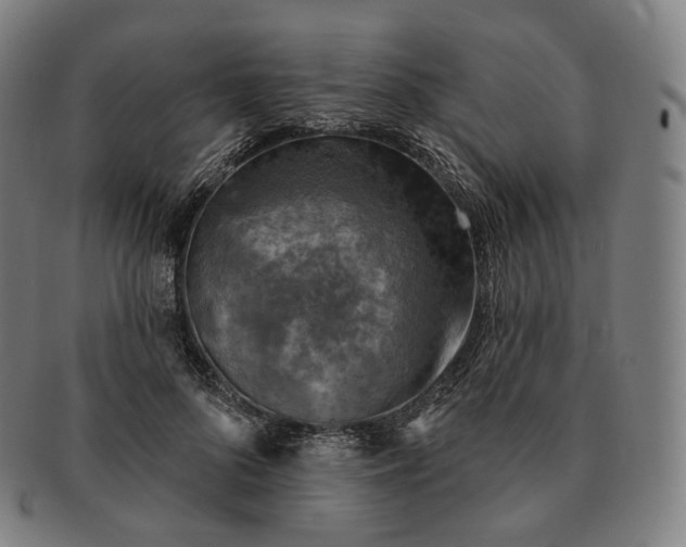 X0000091290696200708241029