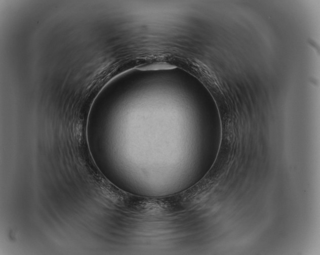 X0000091290697200708241029