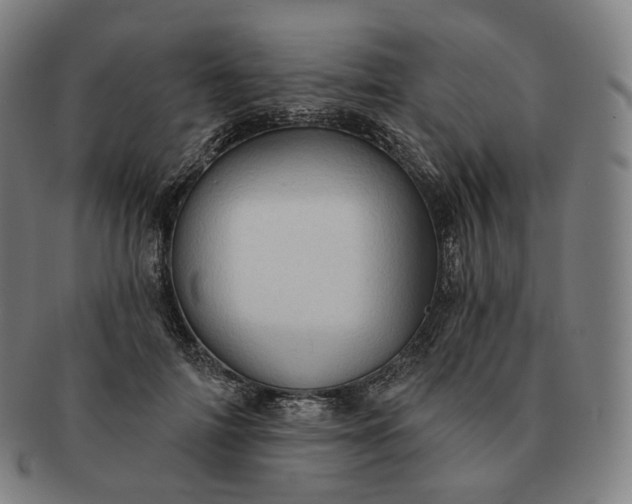 X0000091290698200708241029