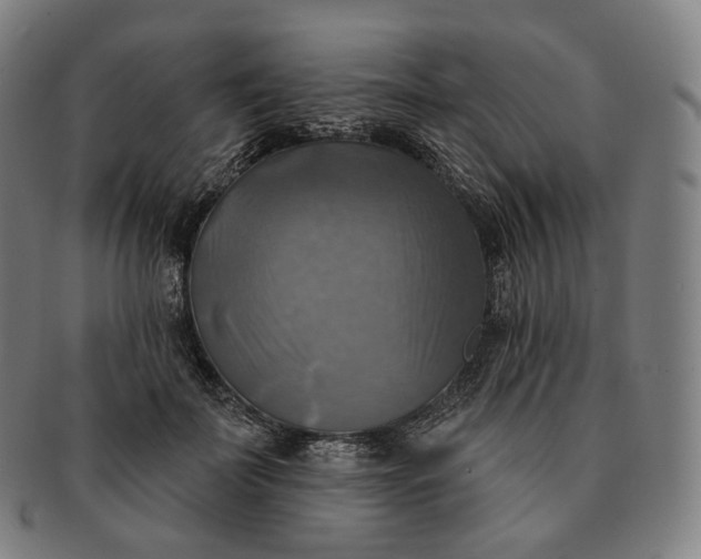 X0000091290699200708241029