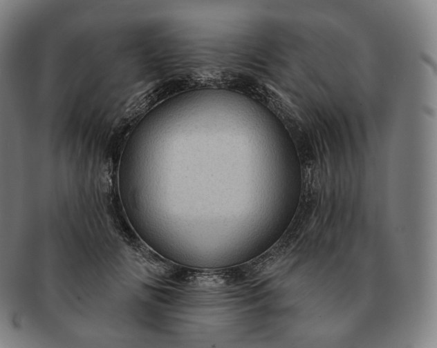 X0000091290702200708241029