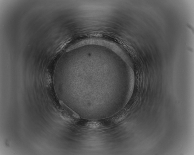 X0000091290704200708241029