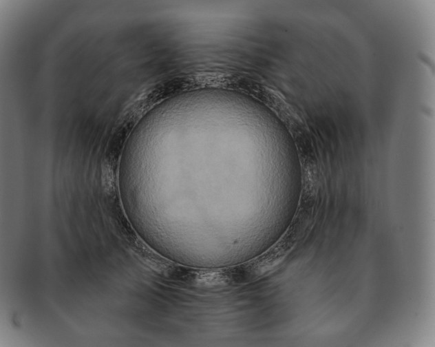 X0000091290705200708241029