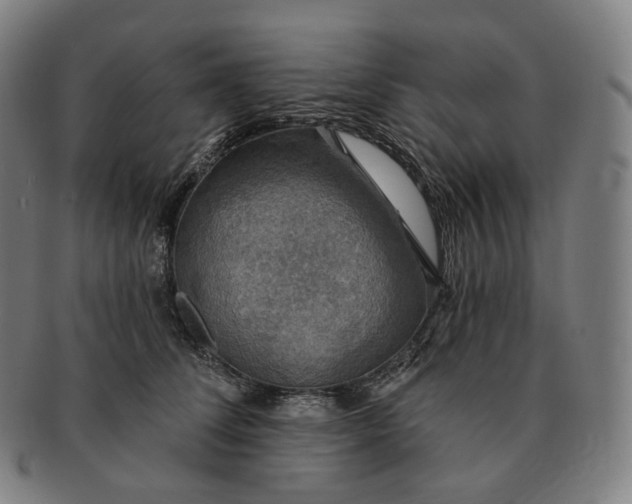 X0000091290708200708241029