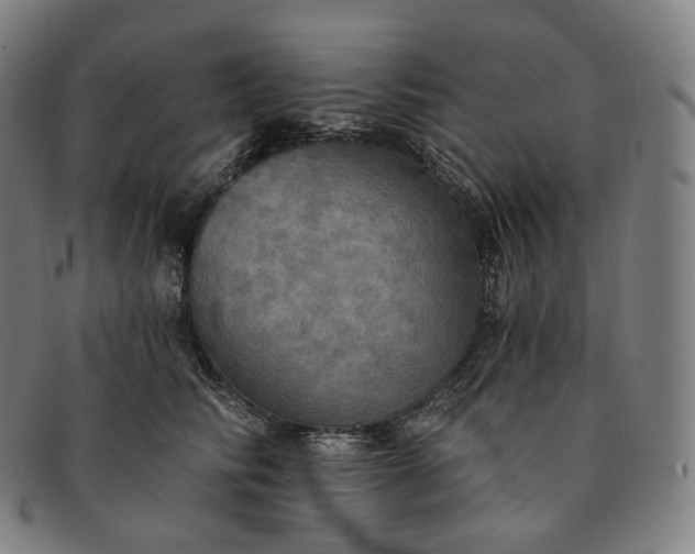 X0000091290710200708241029