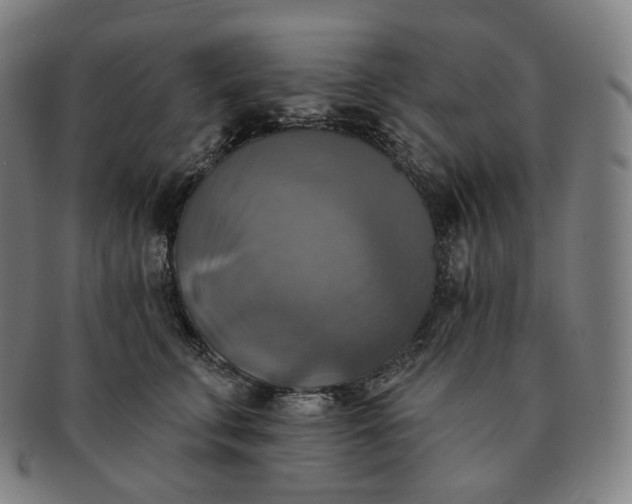 X0000091290711200708241029