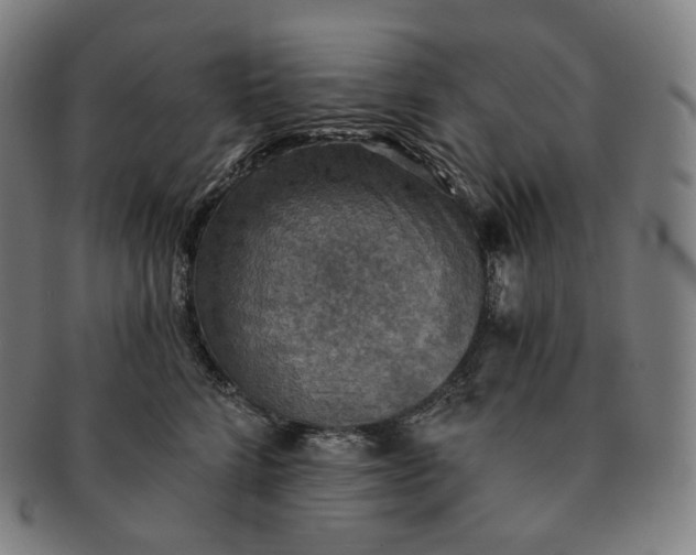 X0000091290712200708241029