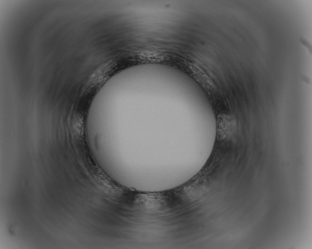 X0000091290713200708241029