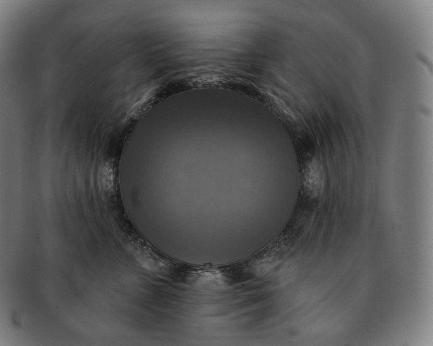 X0000091290715200708241029