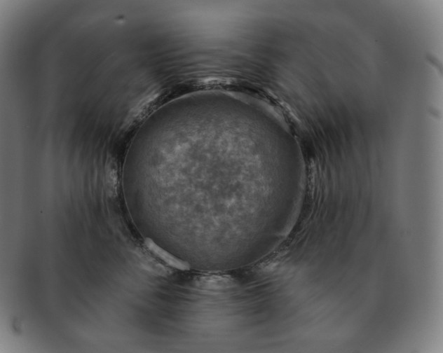 X0000091290716200708241029