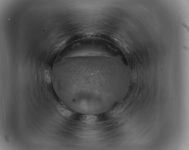 X0000091290719200708241029