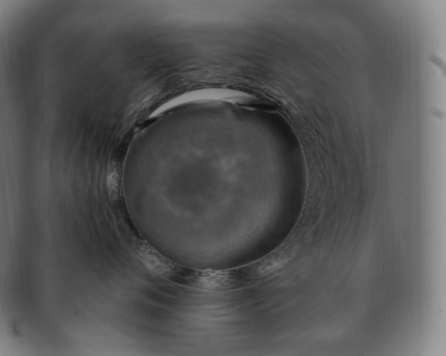 X0000091290720200708241029