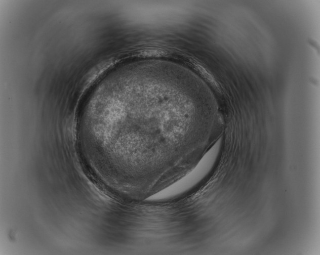 X0000091290722200708241028