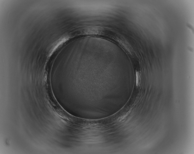 X0000091290723200708241028