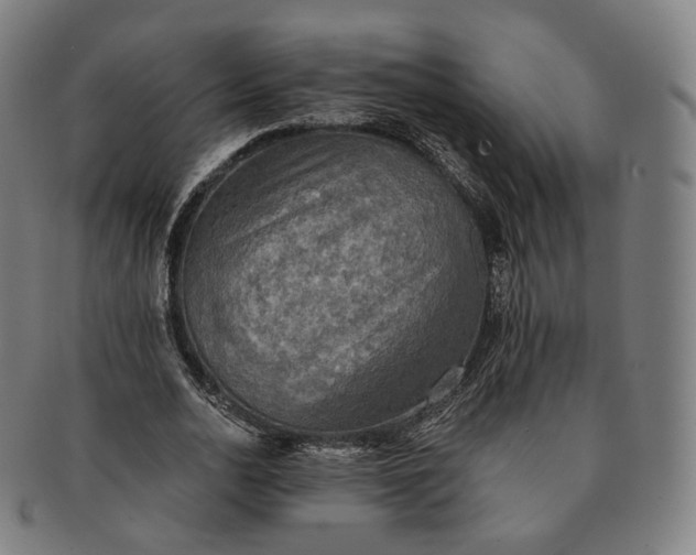 X0000091290726200708241028