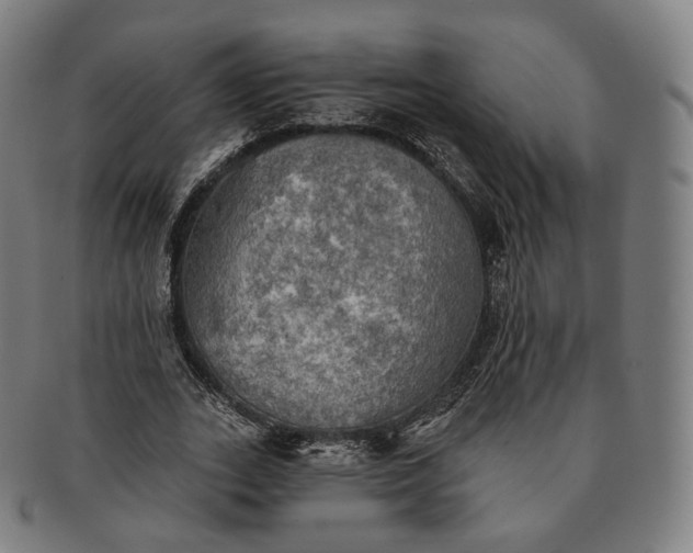 X0000091290727200708241028