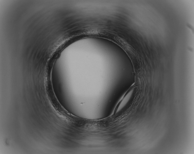 X0000091290728200708241028