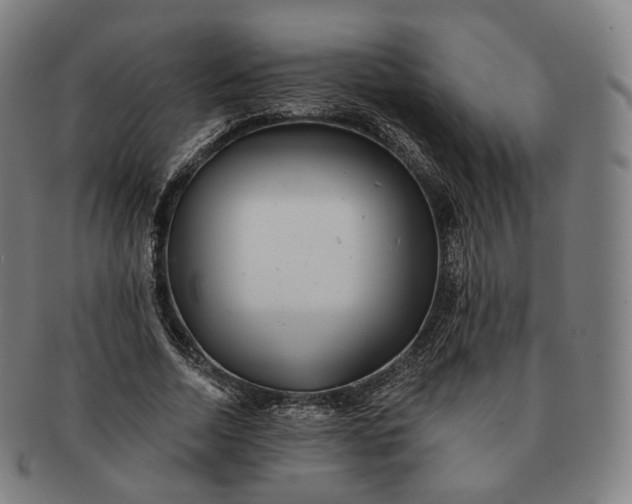 X0000091290730200708241028