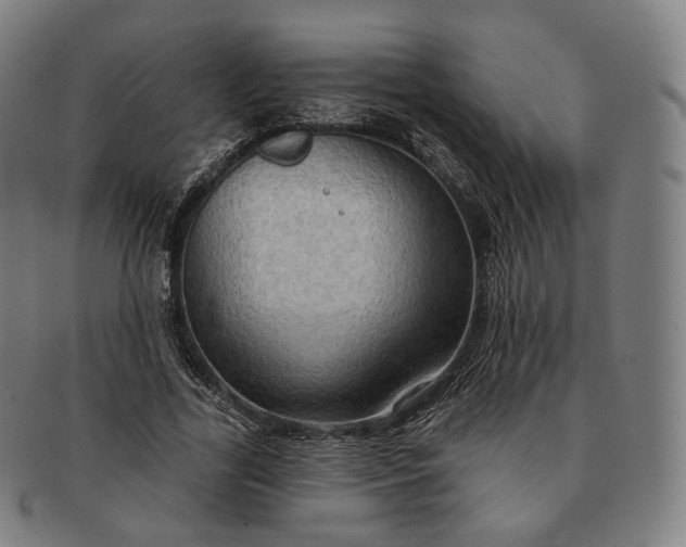 X0000091290731200708241028