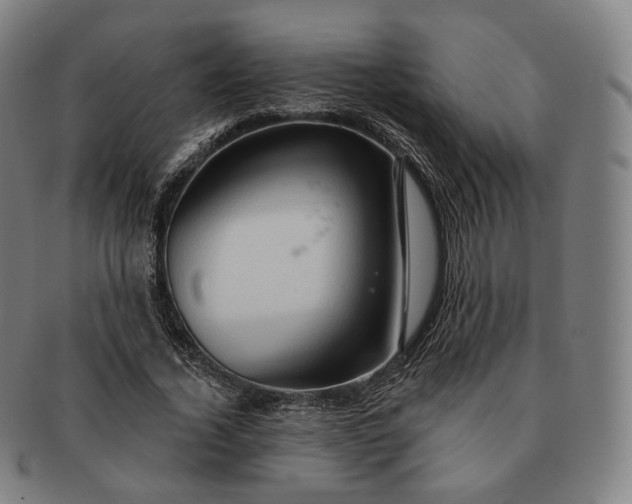 X0000091290732200708241028