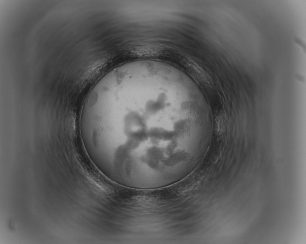 X0000091290733200708241028