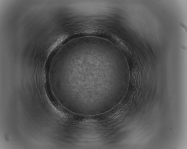 X0000091290734200708241028