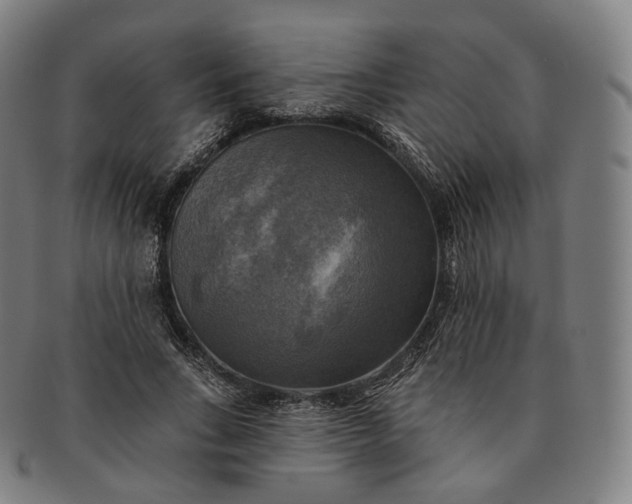 X0000091290735200708241028