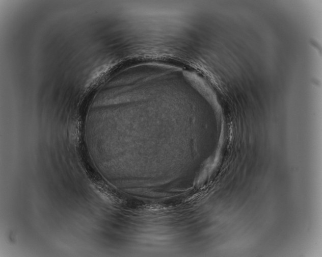 X0000091290736200708241028