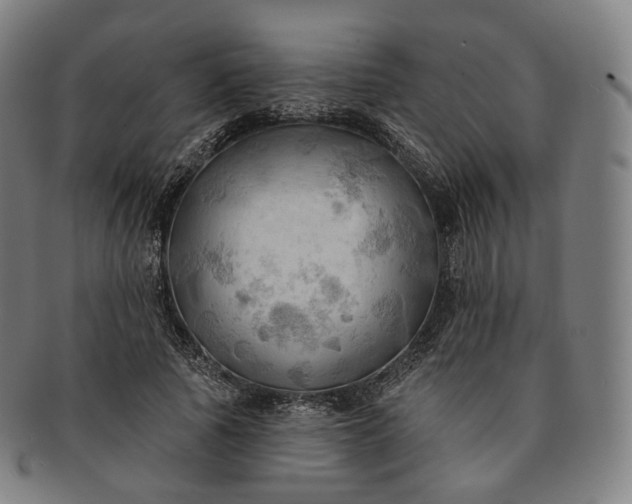 X0000091290737200708241028